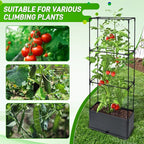 2 Packs Raised Garden Bed Tomato Planter Box - Image 7