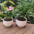 11 Inch Ceramic Plant Pots, Planter Pot - Image 6