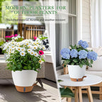 Self Watering Pots for Inoor Ourdoor Plants 10/9/8/7/6.5 Inch Plastic Planters - Image 8