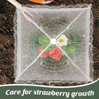 6 Sets Strawberry Plant Support - Image 5
