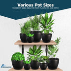Lifemaster Plant Pots with Multi Drainage Holes - Image 4