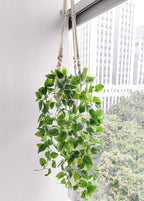 Comtelek 2 Packs Fake Hanging Plant - Image 2