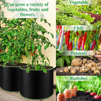 NACHLYNN 5-Pack 10 Gallon Grow Bags - Image 6