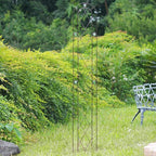 Arcadia Garden Products TR03 Arched Garden Trellis 6' x 10" - Image 2