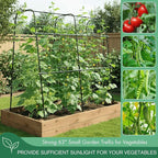 Cucumber Trellis Arch 5.3FT Black PP Coated Stainless Steel Garden Arch Trellis - Image 4