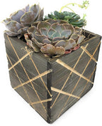 Wood Planter Box with Diamond Cross Hatch Style, 5 Inch Square, Rustic Barn Wood - Image 5