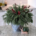 Faux Cedar Stems Artificial Norfolk Pine Branches - Image 8