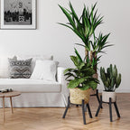 Adjustable Plant Stands Set of 2, Metal Small Plant Holder, Heavy Duty Stable - Image 8