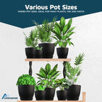 Black Plant Pots with Drainage Holes & Saucers 3 Pack, Indoor & Outdoor - Image 4