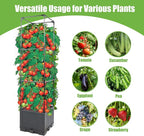 Sunnyglade 2 Pcs Raised Garden Bed Planter Box - Image 4