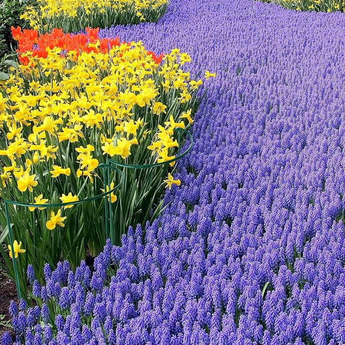 HiGift 16 Pack 24 Inch Plant Support Stakes, Flower Indoor Outdoor - Image 7