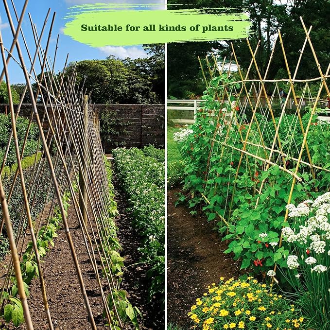 25pcs 7/20" D Thicker Heavy Duty Bamboo Stakes, 3FT Plant Stakes, Natural - Image 8