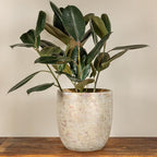 Creative Co-Op Embossed Textured Stoneware Planter, Metallic Gold - Image 6