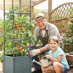 Raised Garden Bed with Tomato Planter Cage, Trellis Planter Boxes - Image 2
