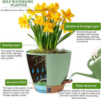 Self Watering Pots for Inoor Ourdoor Plants 8/7/6.5/6/5 Inch Plastic Planters - Image 3