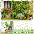 Nuenen 5 Pack Indoor Plant Trellis - Image 7