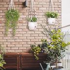 YIBOT 3 Pack Macrame Plant Hangers Indoor Different Size Hanging Planter Basket - Image 9