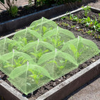 6 Sets Strawberry Plant Support - Image 7