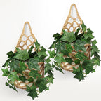 2 Packs Hanging Planters for Indoor Plants up to 6 in., Wall Plant Holder | by Shineloha