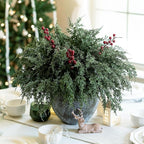 Cedar Stems Artificial Norfolk Pine Branches - Image 3