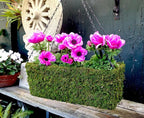 SuperMoss MossWeave Window Box Planter, Fresh Green - Image 2