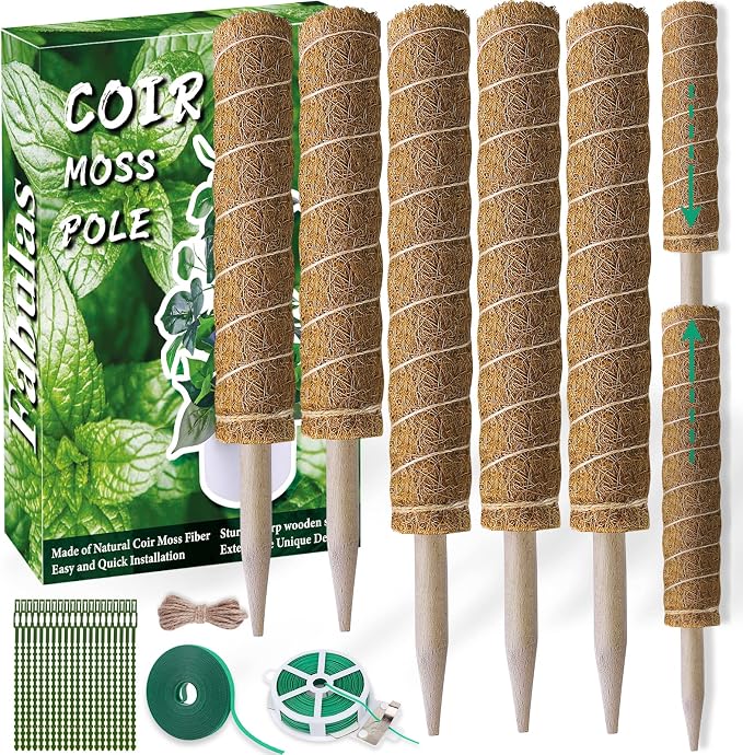 Moss Pole 58.7 Inch by Fabulas
