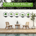Wall Planters for Indoor Plants 5 Pack, Plant Frames Wall Decor Living Room - Image 4
