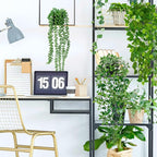 Palonu Artificial Hanging Plants - Image 6