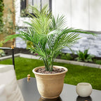 The HC Companies Sierra Round Self-Watering Pot - Image 2