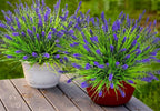 Artificial Plants Outdoor, Plastic Faux Plants - Image 8