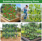 Cucumber Trellis for Raised Bed 5.4x5.5ft U-Shape Adjust Metal Garden Trellis - Image 6