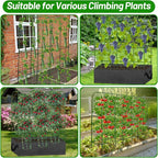 U-Shape Cucumber Trellis with Fabric Raised Garden Bed 65x50 Inch Metal Garden - Image 7