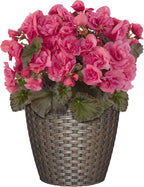Classic Home & Garden Nantucket 8" Planter - Image 2