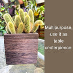 LaLaGreen Wood Planter Boxes for Indoor Plants Small Square Wall Mounted - Image 6