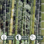 50Pcs / 2ft Bamboo Plant Stakes - Image 2