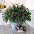Cedar Stems Artificial Norfolk Pine Branches - Image 9