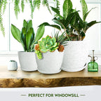 Utopia Home - Spotty Plant Pots Indoor - 7/6.6/6/5.3/4.8 Inches Flower Pots - - Image 6