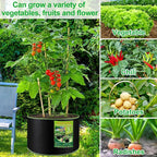 NACHLYNN 5-Pack 15 Gallon Grow Bags Thickened Nonwoven Fabric Pots Heavy Duty - Image 6