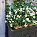 Outsunny Planter Box with Trellis, 35.4 x 15.7 x 47.2 inch Raised Garden Bed - Image 9