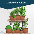 Terracotta Plant Pots with Drainage Holes & Saucers 3 Pack, Indoor & Outdoor - Image 4