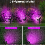 T-SUN LED Solar Spotlights, Waterproof Outdoor Security Landscape Lamps - Image 3