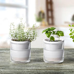 D'vine Dev 4 Inch Design Self Watering Planter - Image 2