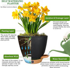 6 Inch Self Watering Pots for Indoor Plants – Small Plastic Planters - Image 8