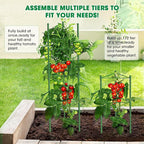 3 Pack Tomato Cages, 51.2in Tomato Plant Support Stakes Heavy-Duty, Garden - Image 8