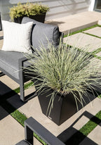 Veradek Pure Series Nobleton Plastic Planter - Image 6