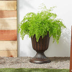 Arcadia Garden Products PL10CP Classic Traditional Plastic Urn Planter - Image 4