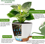 Self Watering Pots for Inoor Ourdoor Plants 8/7/6.5/6/5 Inch Plastic Planters - Image 5