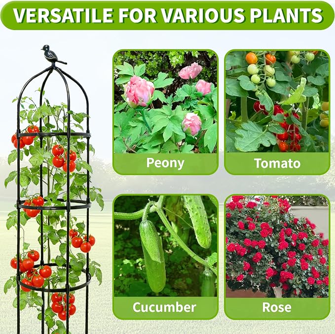 2-Pack 6FT Garden Obelisk Trellis - Image 6