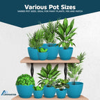 Blue Plant Pots with Drainage Holes & Saucers 5 Pack, Indoor & Outdoor - Image 4