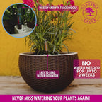 GARDENIX DECOR Self Watering Hanging Planter, Coco Coir, - Image 5